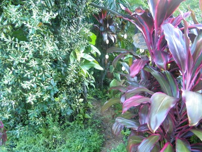 Throw in the crab pots Picture