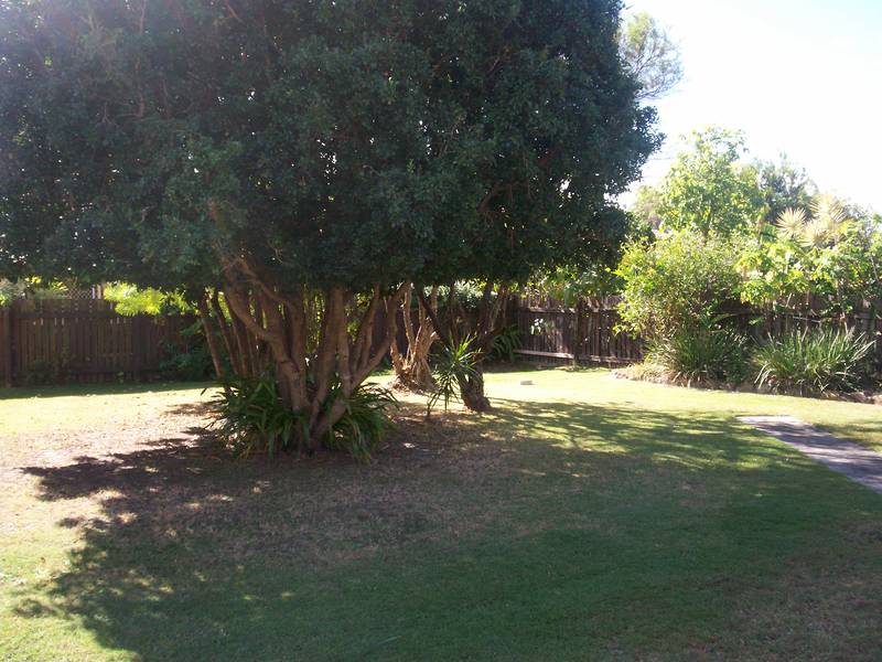 Presentation
Plus Picture