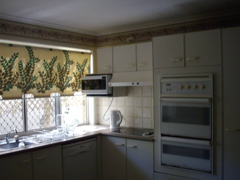 Bring your pet Picture 3