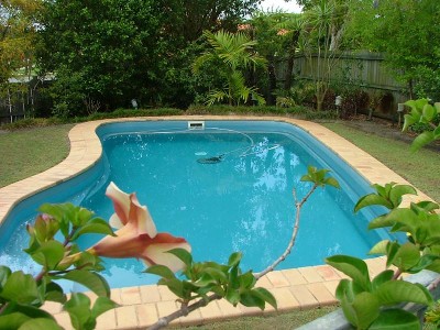 ATT: All Golfing Widows Picture ATT: All Golfing Widows Picture