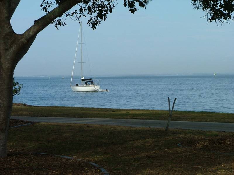 Serenity Overlooking Beautiful Pumicestone Passage Picture 3