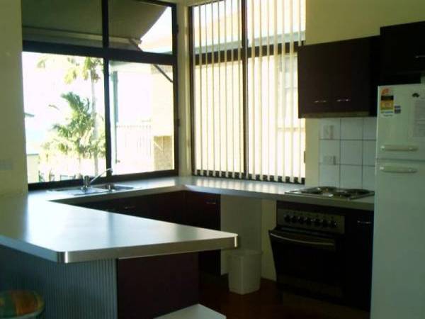 Turtles in Paradise Picture 3