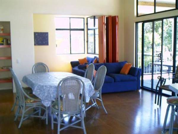 Turtles in Paradise Picture 2