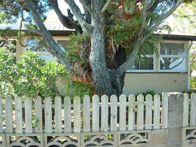 ROOM FOR FAMILY AND THE BOAT Picture ROOM FOR FAMILY AND THE BOAT Picture