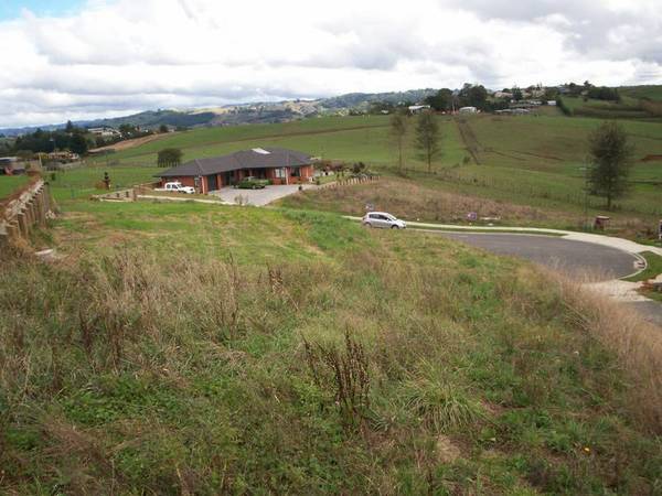 GOOD VALUE Picture 1