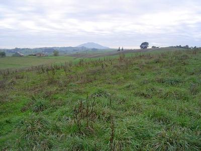 LOOK AT THE VIEWS! Picture