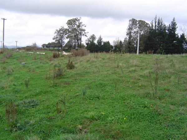 LIFESTYLE BLOCK Picture 1
