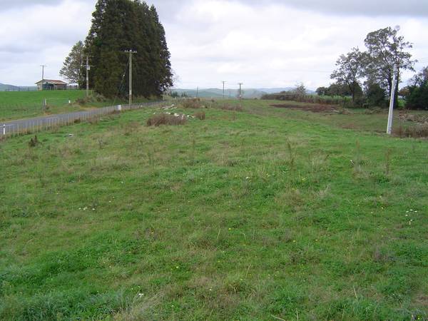 LIFESTYLE BLOCK Picture 1