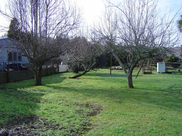 FLAT SECTION Picture 1