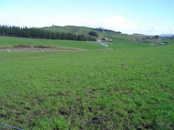 NORTH OF OTOROHANGA Picture 1