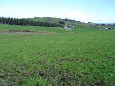 NORTH OF OTOROHANGA Picture