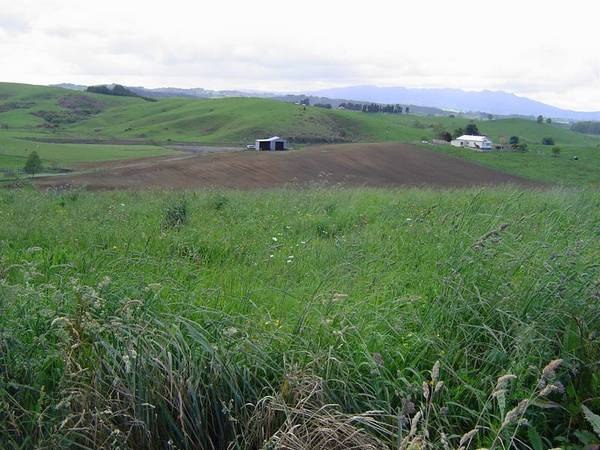 NOT MANY LEFT! Picture 2