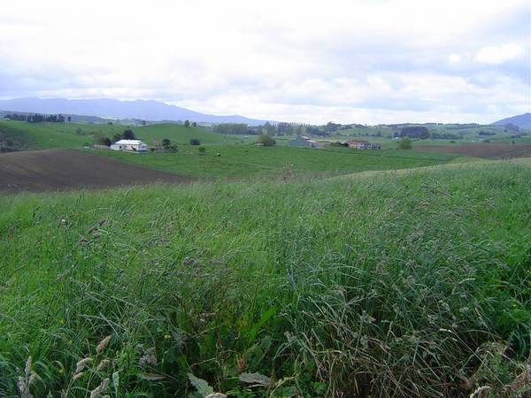 NOT MANY LEFT! Picture 1