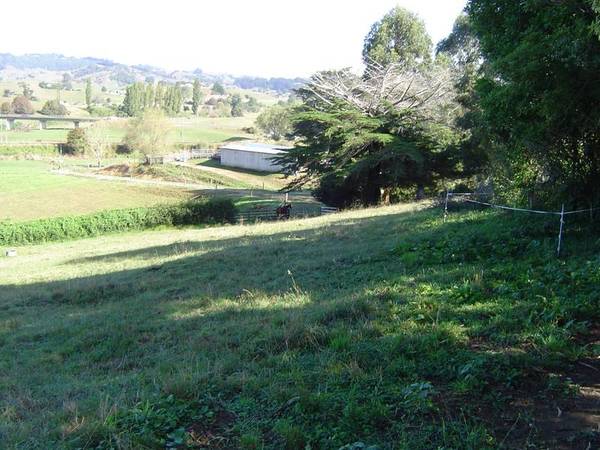 ON THE EDGE OF TOWN Picture 1