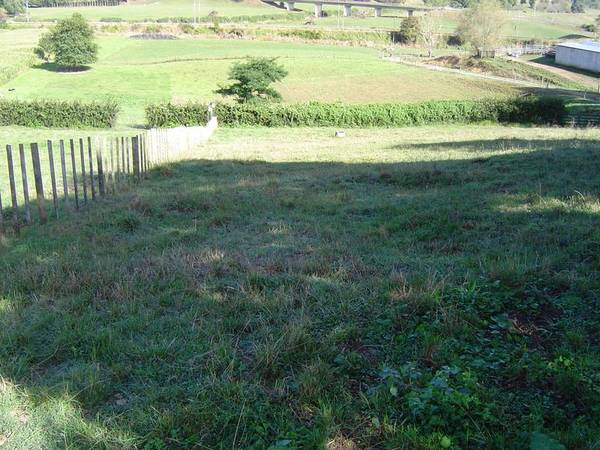 ON THE EDGE OF TOWN Picture 2