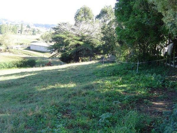 ON THE EDGE OF TOWN Picture 3