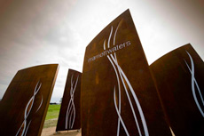 STAKE YOUR CLAIM Picture 1