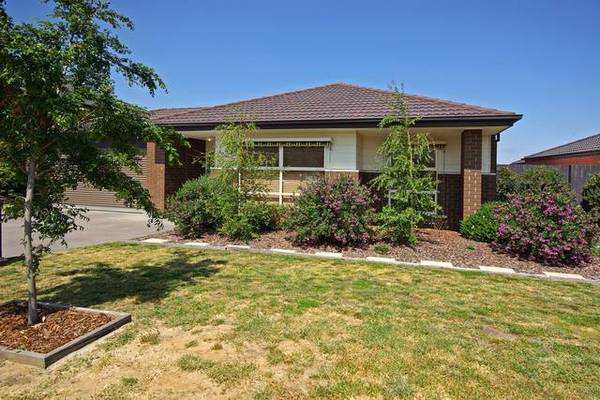 SURPASSES EXCELLENCE Picture