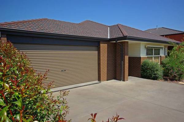 SURPASSES EXCELLENCE Picture