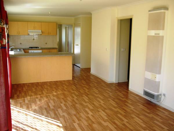 JUST WHAT YOU WERE LOOKING FOR Picture