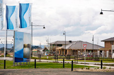 EVER DARED TO DREAM? Picture 2