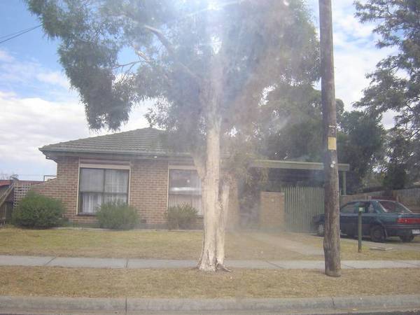 Under Application!! Picture Under Application!! Picture