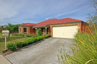 WHAT MORE COULD YOU WANT? Picture