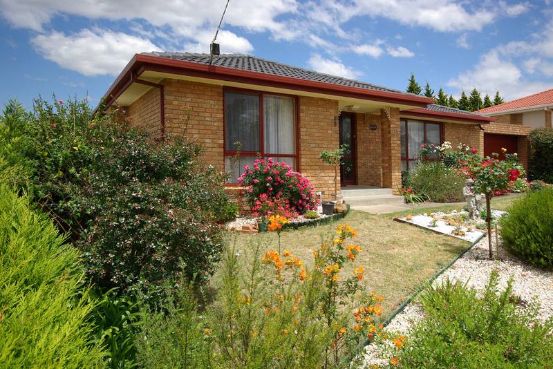 DELIGHTS THE EYE Picture