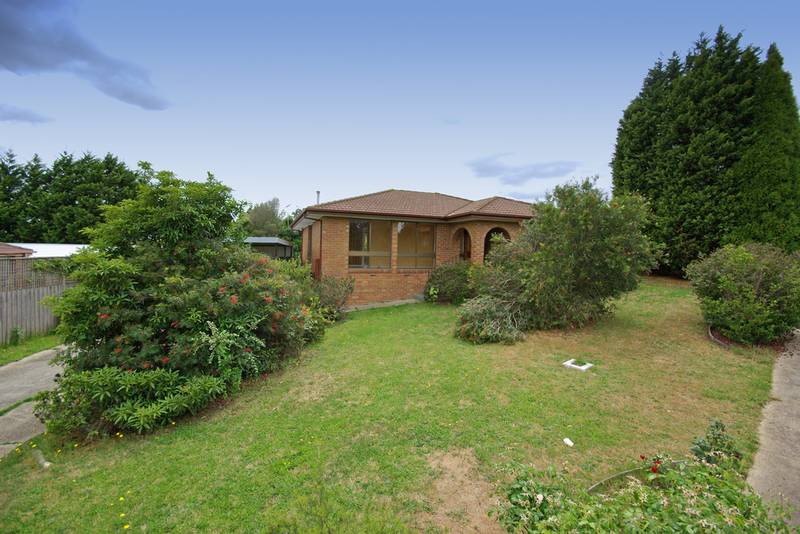 THIS WON'T LAST LONG! VENDOR SAYS 