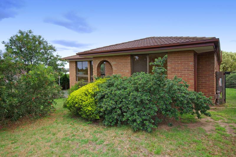 THIS WON'T LAST LONG! VENDOR SAYS 