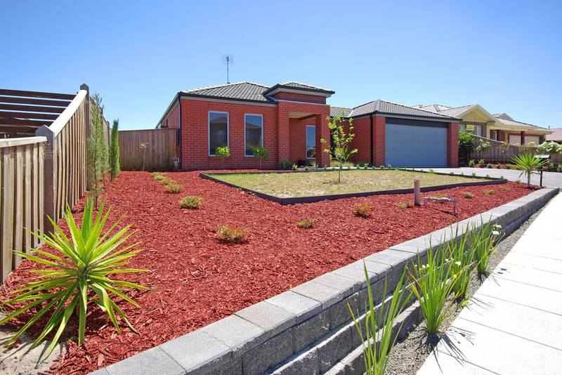 BIG ON LIVING Picture 2