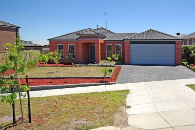 BIG ON LIVING Picture