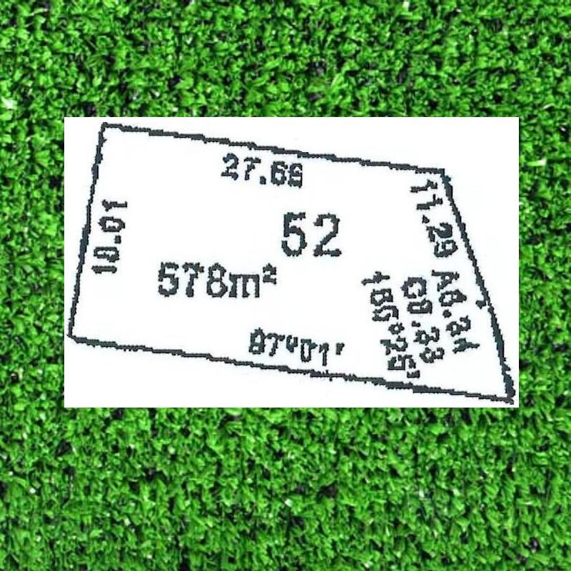 DREAMS DO COME TRUE Picture 1