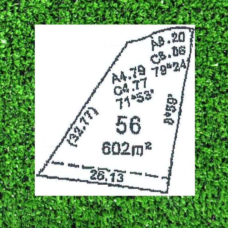 DREAMS DO COME TRUE Picture 1