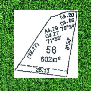 DREAMS DO COME TRUE Picture