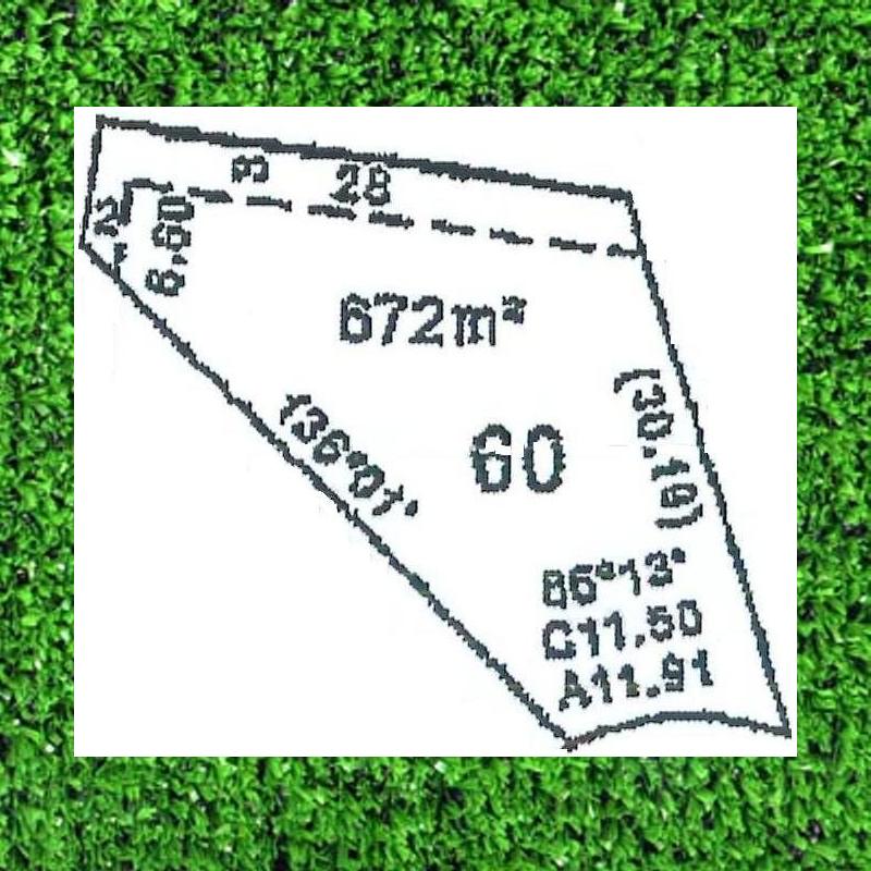 DREAMS DO COME TRUE Picture 1