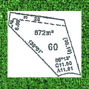 DREAMS DO COME TRUE Picture