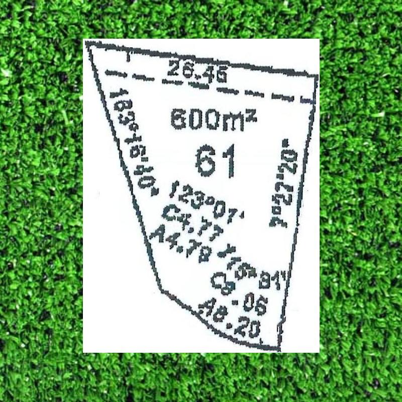 DREAMS DO COME TRUE Picture 1