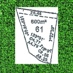 DREAMS DO COME TRUE Picture DREAMS DO COME TRUE Picture