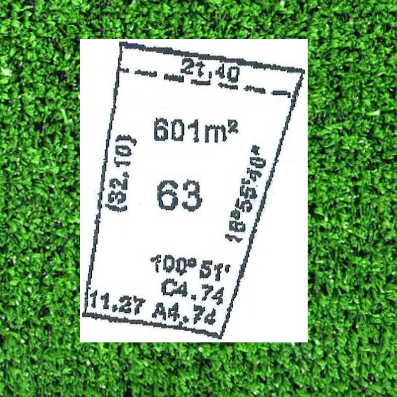 DREAMS DO COME TRUE Picture 1