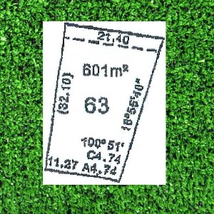 DREAMS DO COME TRUE Picture DREAMS DO COME TRUE Picture