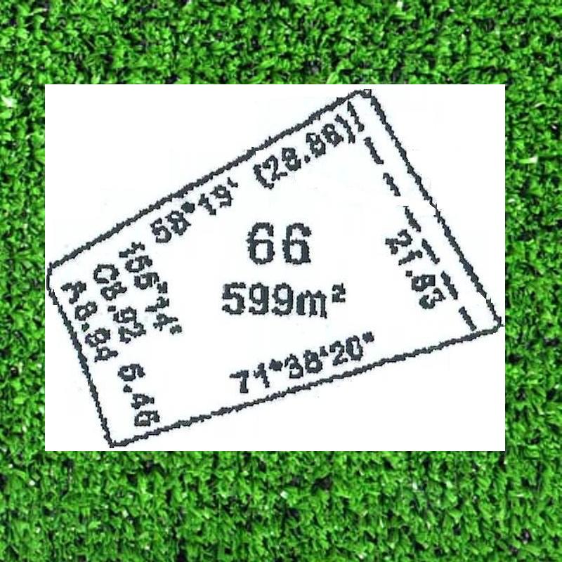 DREAMS DO COME TRUE Picture 1