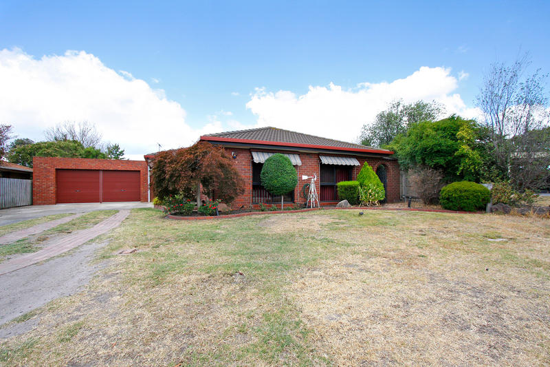 THE PERFECT START Picture