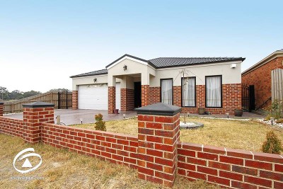 Contemporary Elegance Picture Contemporary Elegance Picture