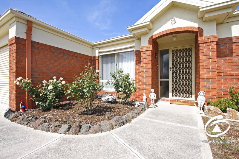 Look No Further. Picture 2