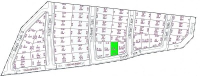 Ready-Set-Build Picture