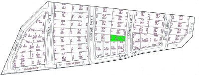 Ready-Set-Build Picture