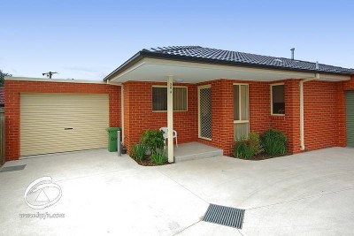 A PURE DELIGHT Picture A PURE DELIGHT Picture