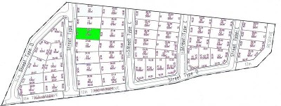 Ready-Set-Build Picture