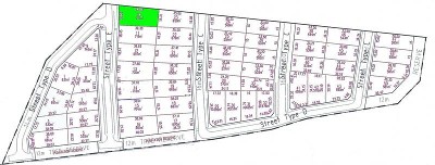 Ready-Set-Build Picture